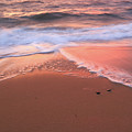 Golden Sunset on the Water