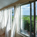 Summer Breeze